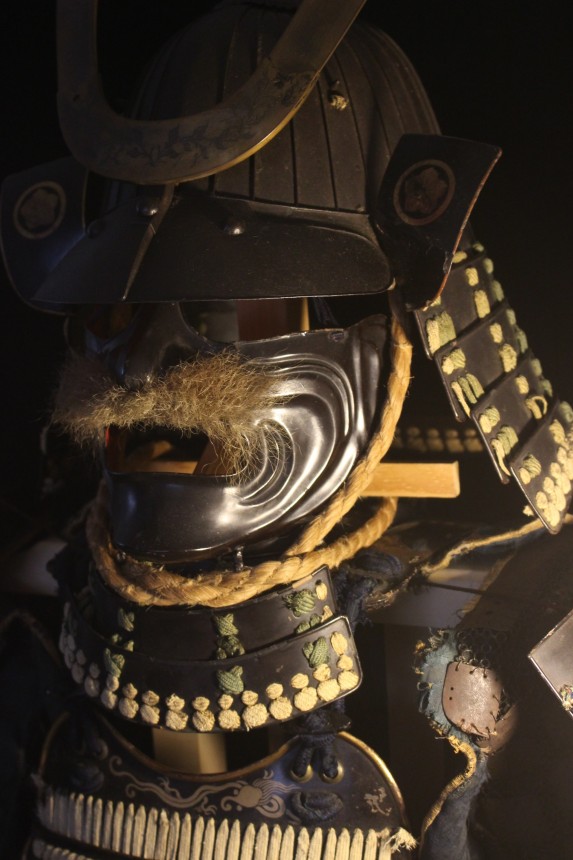 Y1-6